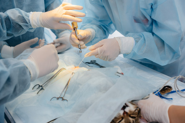 Опасна ли операция по кастрации?